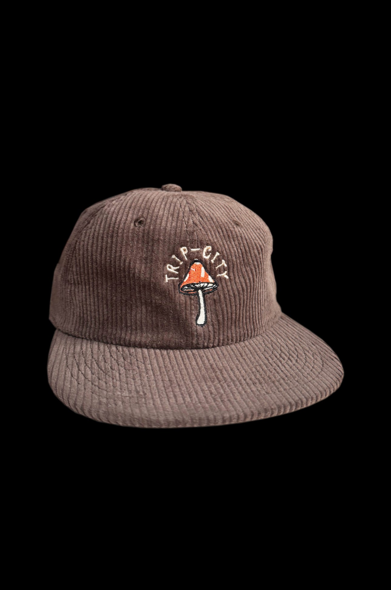 BROWN CORDUROY HAT